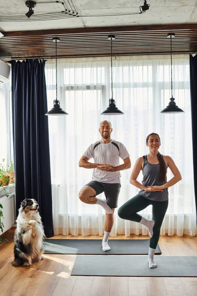 Coppia sorridente in abbigliamento sportivo in piedi in posa yoga su tappeti fitness vicino al confine collie a casa — Foto stock