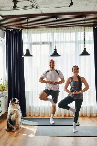 Pareja sonriente en ropa deportiva de pie en postura de yoga en colchonetas de fitness cerca de border collie en casa - foto de stock