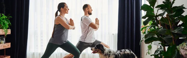 Vista lateral do casal em pé postura de ioga durante o exercício perto da borda collie em casa, banner — Fotografia de Stock