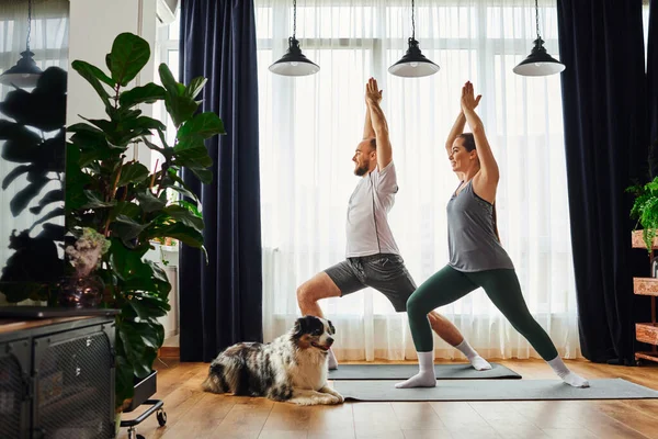 Casal sorrindo em pé em ioga posar em tapetes de fitness enquanto se exercita perto de border collie em casa — Fotografia de Stock