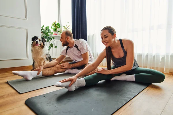 Smiling woman in sportswear training with boyfriend on fitness mats near border collie at home — Stock Photo