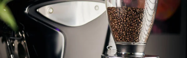 Grãos de café torrados inteiros no moedor de café elétrico profissional, aparelho de café, banner — Fotografia de Stock