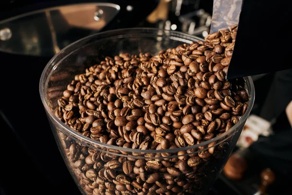 Granos de café tostados seleccionados y medianos en la cafetería, aromático y frescura, cerveza espresso - foto de stock