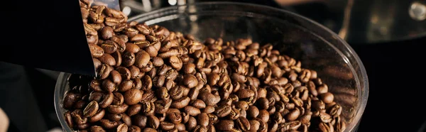 Цельные кофейные зёрна, среднее жаркое, свежий кофеин, кофейня, эспрессо, баннер — стоковое фото