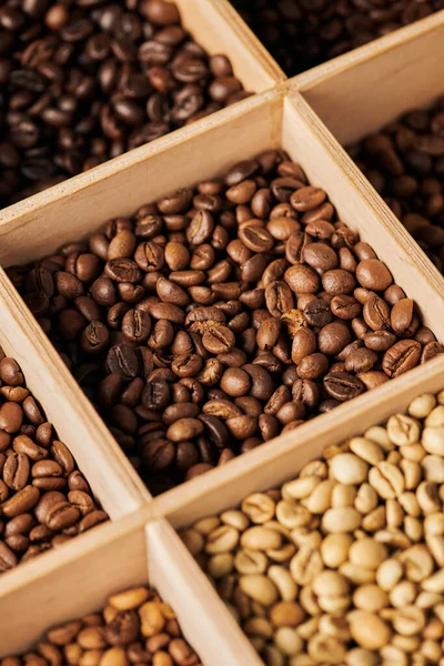 Grains de café en boîte en bois, torréfaction différente, caféine et énergie, expresso, fond de café — Photo de stock