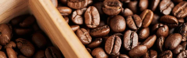 Coffee beans in wooden box, dark and medium roast, caffeine and energy, coffee background, banner — Stock Photo