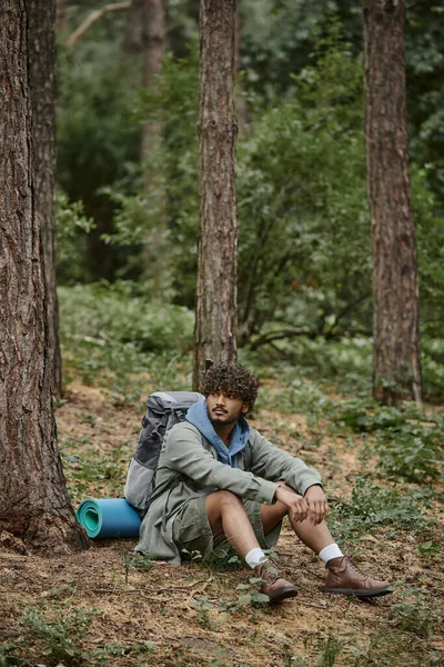 Кудрявый молодой индийский турист с рюкзаком и пешеходными палками отдыхает, сидя рядом с деревьями в лесу — стоковое фото