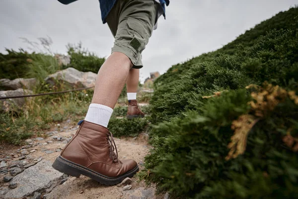 Naturaleza salvaje, vista recortada de excursionista caminando en botas marrones con calcetines blancos, aventura, viajero - foto de stock