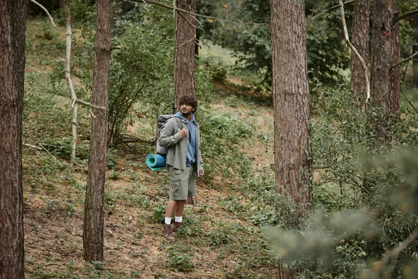 Индийский турист с вьющимися волосами ходьба в лесу, естественное местоположение, турист с рюкзаком в лесу — стоковое фото
