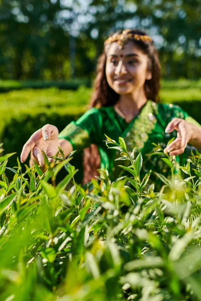 Sonriente joven y borrosa mujer india tocando arbustos verdes en el parque en verano - foto de stock