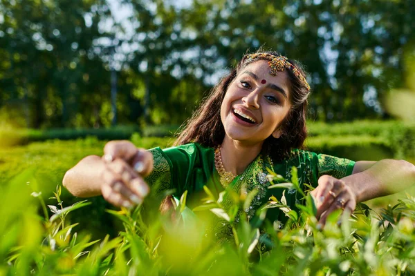 Позитивна молода індійська жінка в зеленому сарі торкаючись кущів і дивлячись на камеру в парку — стокове фото