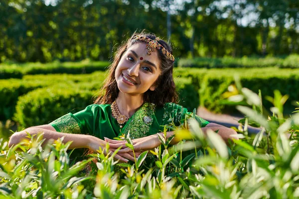 Bella giovane donna asiatica in elegante sari e bindi guardando la fotocamera vicino alle piante nel parco — Foto stock