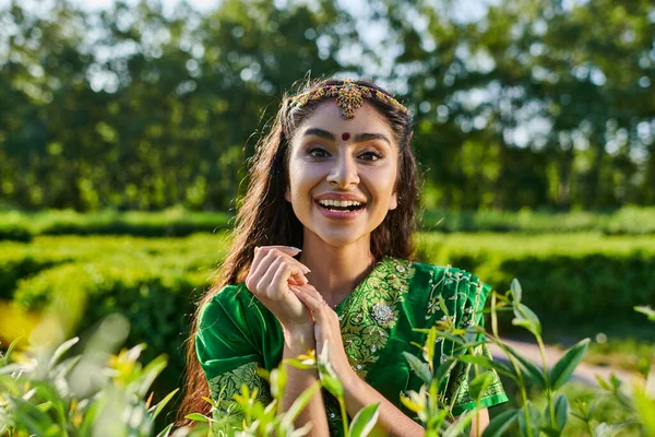 Веселая и красивая молодая индианка в сари смотрит в камеру рядом с растениями в парке — стоковое фото
