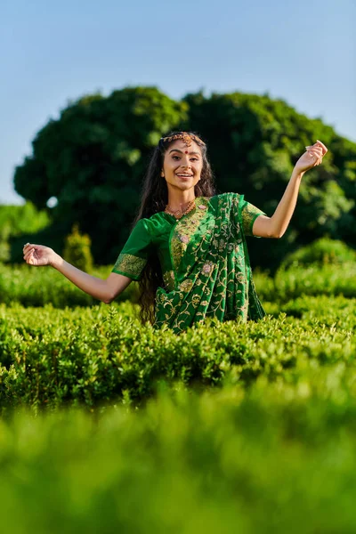 Elegante e allegra donna indiana in elegante sari posa vicino a piante verdi in parco in estate — Foto stock