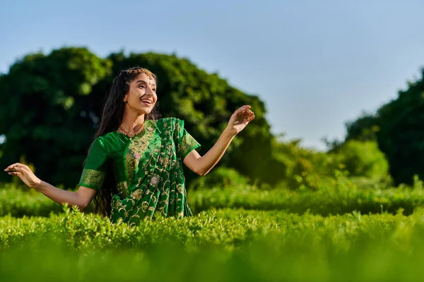 Модная индийская женщина в современных сари и бинди позирует возле зеленых растений с голубым небом на заднем плане — стоковое фото