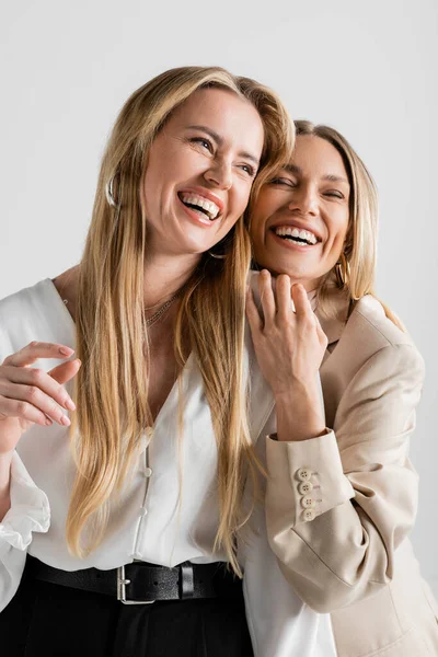 Портрет двох елегантних привабливих сестер, що сміються позує на сірому тлі, зв'язування, мода — стокове фото