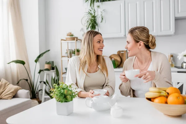 Lovely sisters sitting at table talking and smiling with plants and furniture on backdrop, bonding — Stock Photo