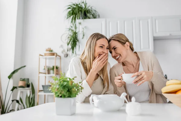Duas irmãs atraentes em roupa linda beber chá e sorrindo na cozinha, ligação familiar — Fotografia de Stock