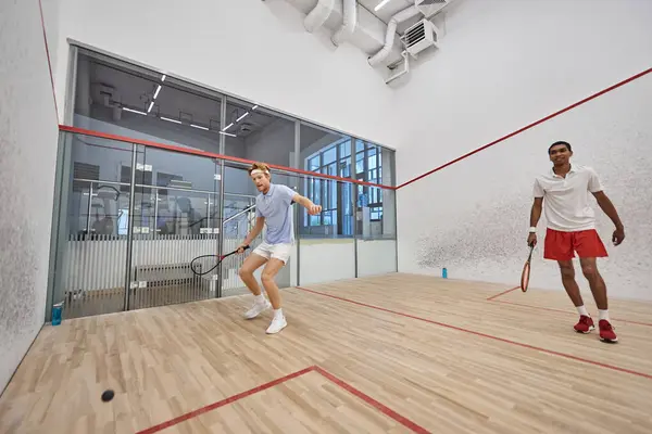 Dynamic interracial sportsmen playing squash together inside of court, challenge and motivation — Stock Photo