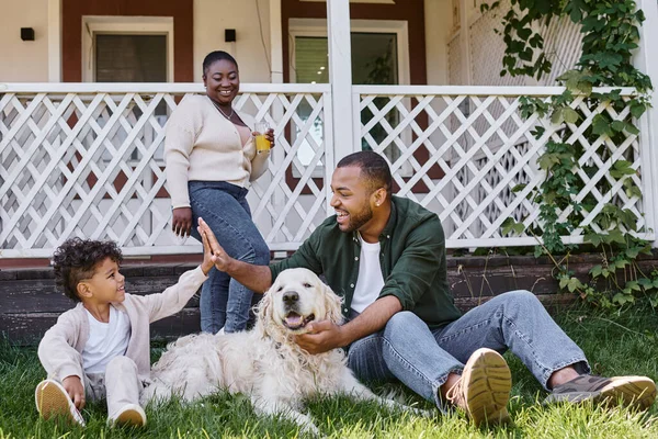 Tiempo de la familia, feliz afroamericano padre hijo dando alta cinco cerca del perro en el patio trasero de la casa — Stock Photo