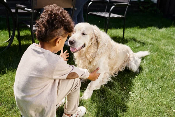 Curly african american boy playing with dog on green lawn in garden, child on backyard in suburbs — Stock Photo