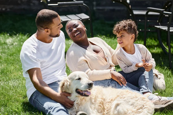 Family moments of jolly african american parents and son smiling and sitting on green lawn near dog — Stock Photo