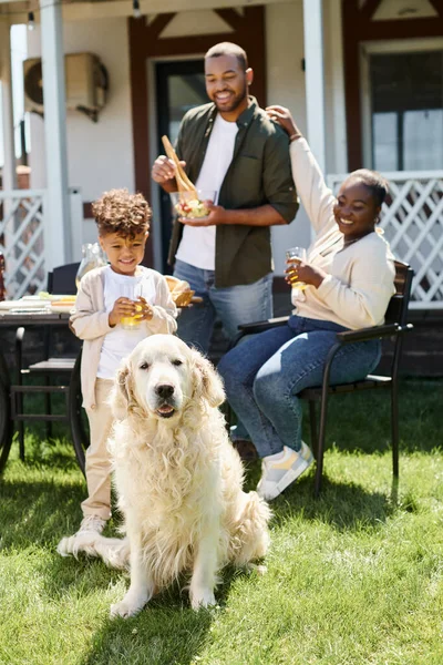 Cute dog looking at camera and sitting on lawn near african american family during bbq on backyard — Stock Photo