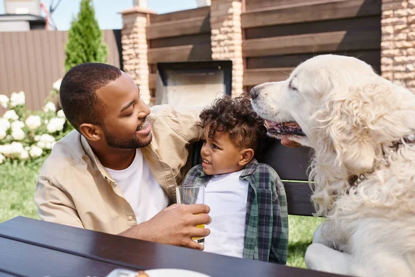 Alegre afroamericano padre y rizado hijo acariciando perro durante familia bbq en patio trasero, familia — Stock Photo
