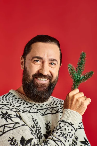 Homem barbudo alegre no inverno suéter segurando ramo de pinho no fundo vermelho, Feliz Natal — Fotografia de Stock