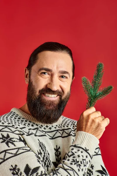 Joyful bearded man in winter sweater holding branch of pine tree on red backdrop, Merry Christmas — Stock Photo