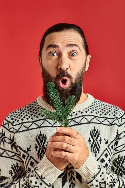 Shocked bearded man in winter sweater holding branch of pine tree on red backdrop, Merry Christmas — Stock Photo