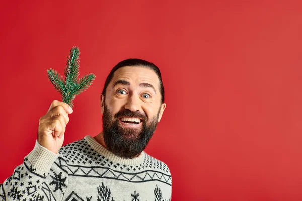 Joyful bearded man in winter sweater holding branch of pine tree on red backdrop, Merry Christmas — Stock Photo