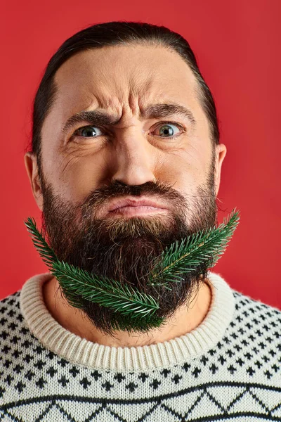 Schöner Mann im Weihnachtspulli posiert mit frischen Fichtenzweigen im Bart vor rotem Hintergrund — Stockfoto