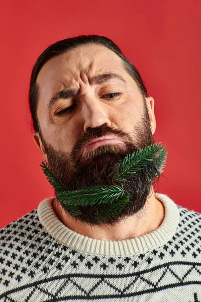 Unzufriedener Mann im Weihnachtspulli posiert mit frischen Fichtenzweigen im Bart vor rotem Hintergrund — Stockfoto