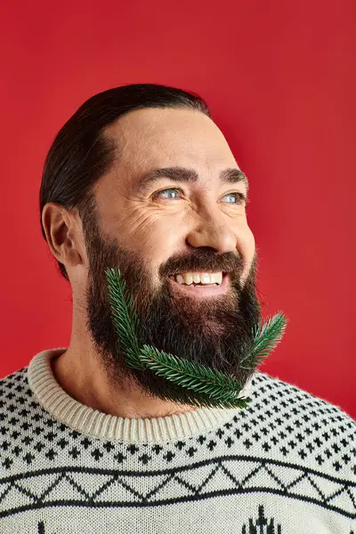 Щасливий чоловік у різдвяному светрі позує з гілками свіжої ялини в бороді на червоному тлі — стокове фото