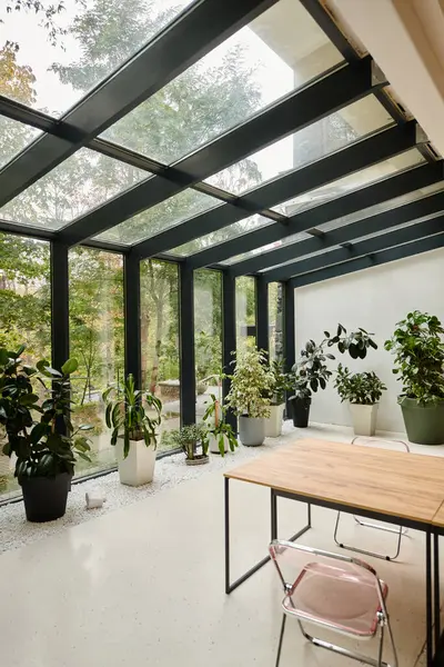 Photo d'intérieur de la salle de réunion vide contemporaine avec table de bureau et plantes vertes dans des pots — Photo de stock