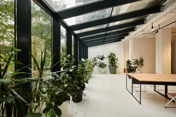 Foto interior da moderna sala de conferências minimalista com mesa de escritório e plantas verdes em vasos — Fotografia de Stock