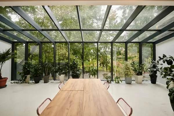 Photo d'intérieur de la salle de conférence élégante moderne avec table de bureau et plantes vivantes vertes dans des pots — Photo de stock