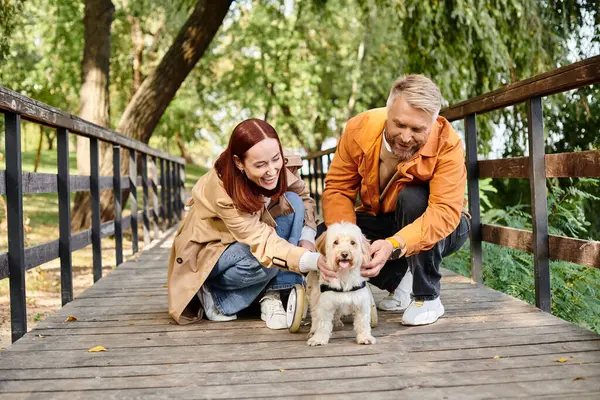 Homem e mulher carinhosamente animal de estimação um cão em uma ponte no parque. — Fotografia de Stock