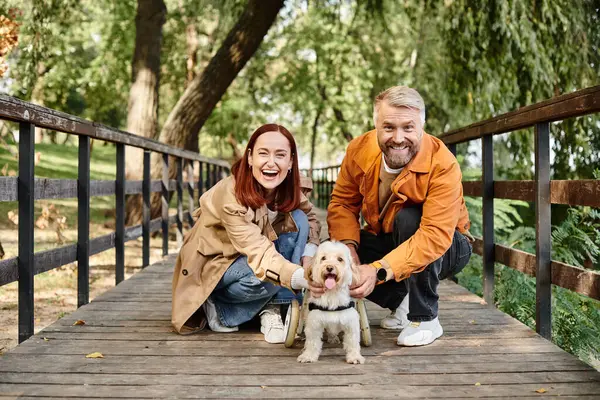 A couple kneels with their dog in a peaceful park setting. — Stock Photo