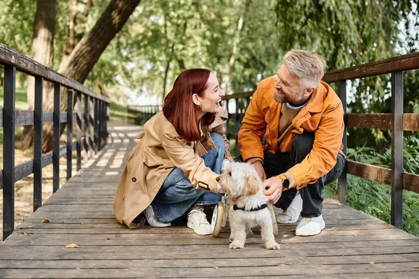 Adult couple petting dog on bridge in park. — Stock Photo