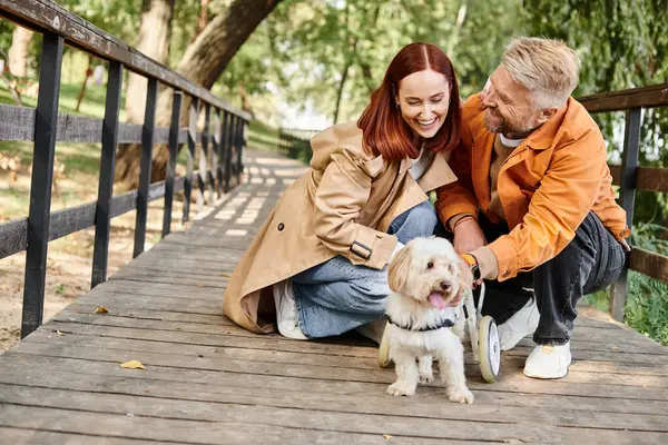 Чоловік і жінка в повсякденному вбранні ласкаво улюбленця собаки на мосту в парку. — стокове фото