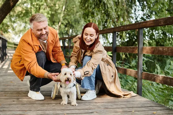 Um homem e uma mulher de traje casual gostam de acariciar um cão em uma ponte em um parque. — Fotografia de Stock