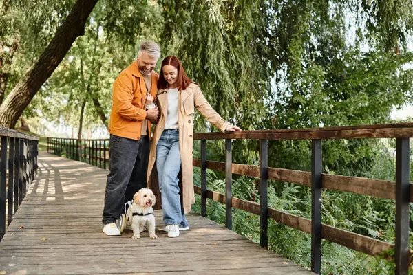 A couple in casual attire walking their dog on a serene bridge in the park. - foto de stock