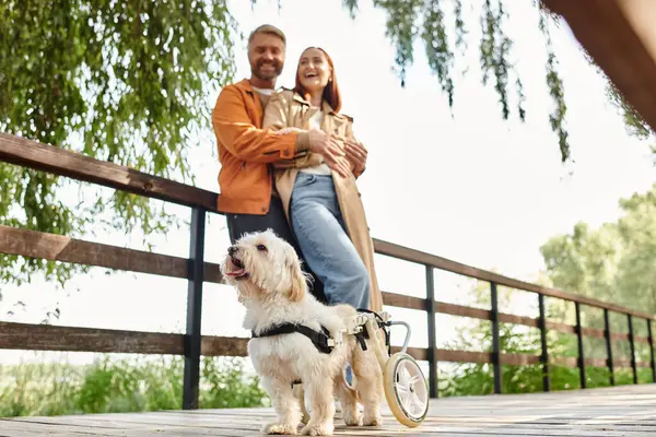 An adult loving couple in casual attire, one in a wheelchair, enjoying a walk with their dog in the park. — Stock Photo