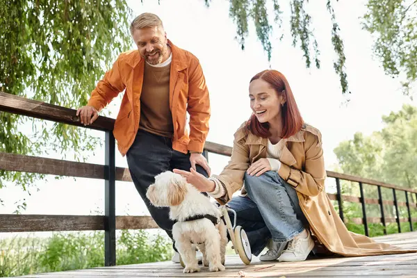 Un couple adulte caresse avec amour un petit chien tout en se promenant dans un parc. — Photo de stock