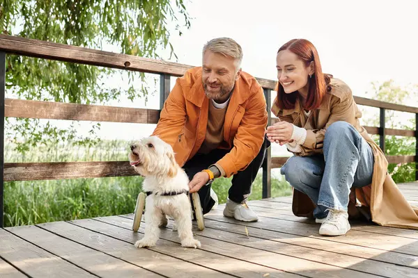 Un couple en tenue décontractée caresse un chien sur une terrasse en bois dans le parc. — Photo de stock