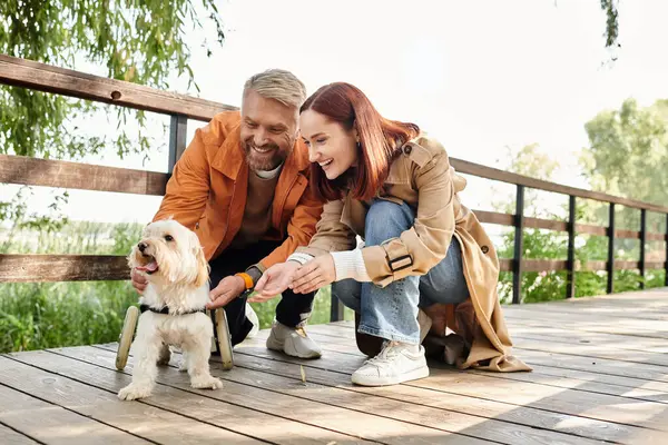 An adult loving couple in casual attire pet a small dog while taking a walk in the park. — Stock Photo