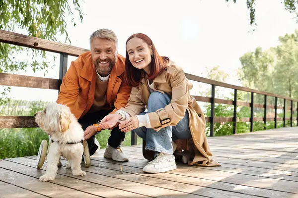 Un hombre y una mujer en traje casual acarician a un perro pequeño mientras dan un paseo por el parque. - foto de stock