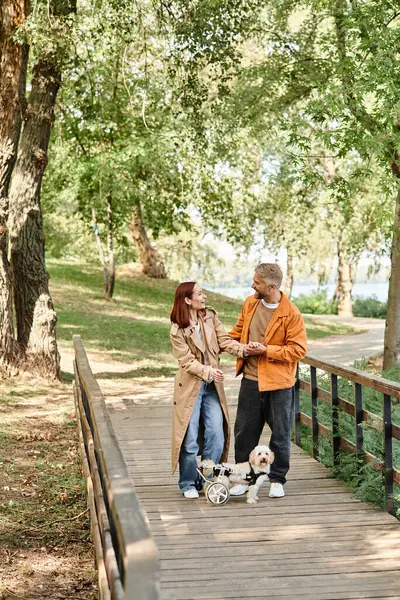Mann und Frau mit Hunden spazieren auf einer Brücke. — Stockfoto